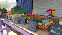 Fresh produce from the PCC Austin Farm Stand